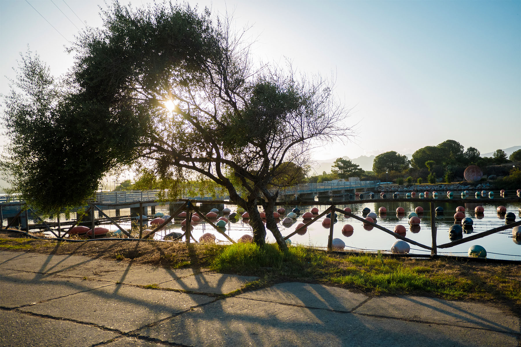 Home 63 1 fila sotto Cooperativa Pescatori Tortolì