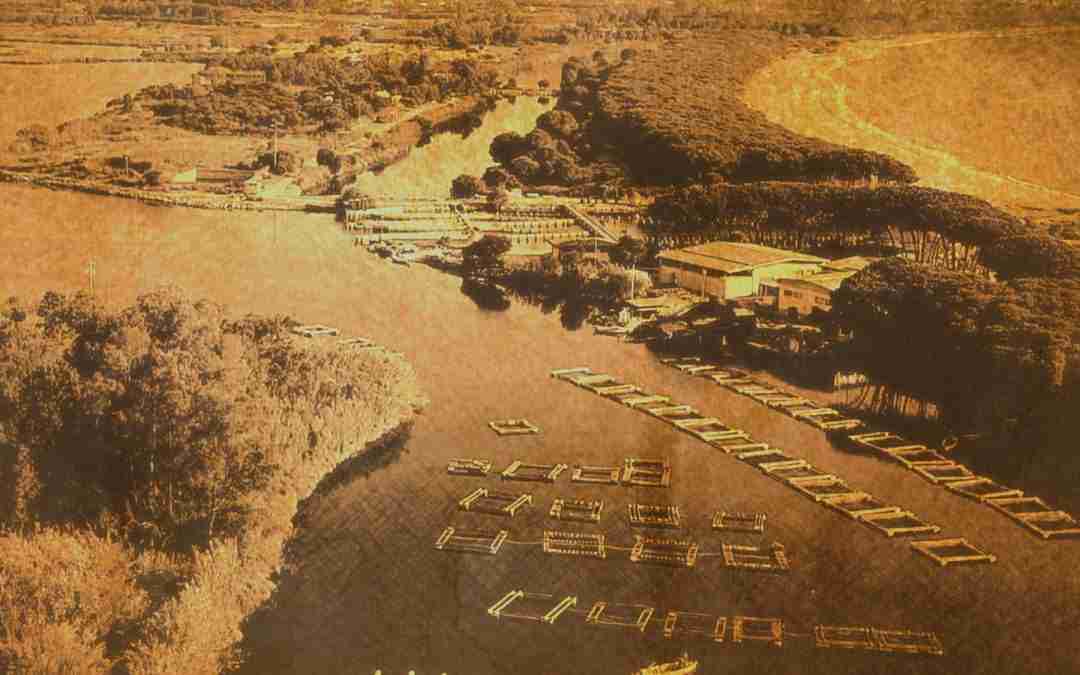 Storia della Cooperativa Pescatori Tortolì – 80 Anni di Tradizione e Qualità Artigianale