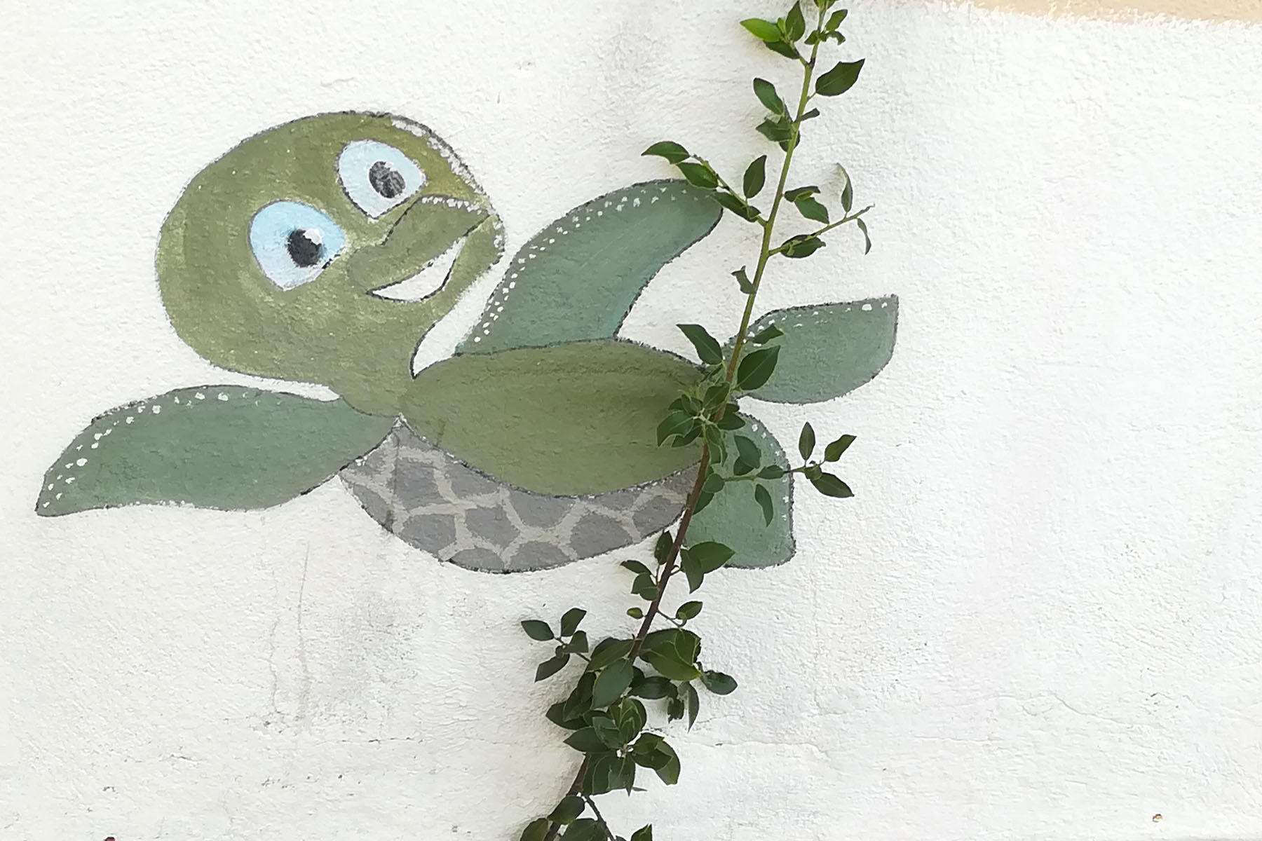 FATTORIA4 Cooperativa Pescatori Tortolì