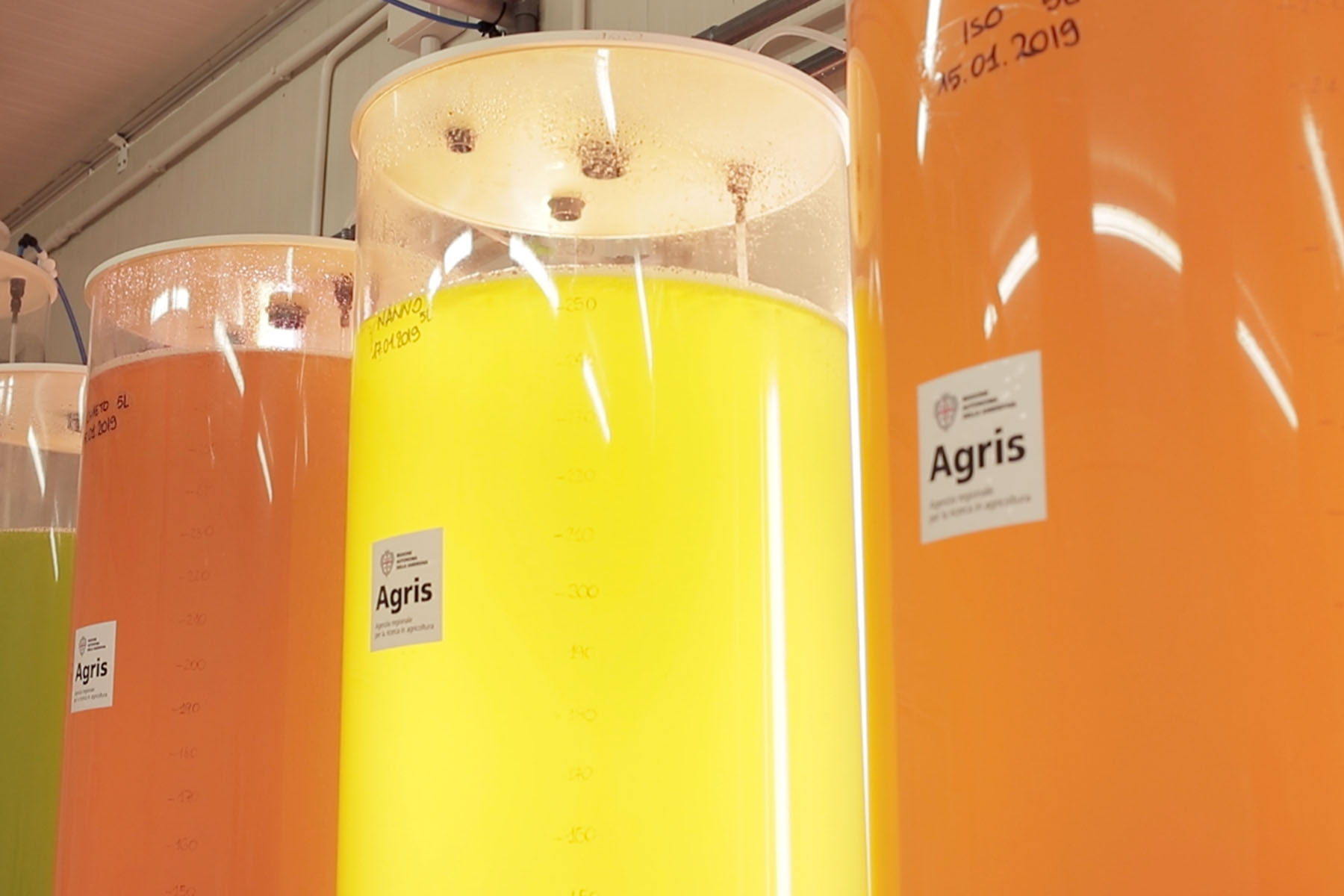 LABORATORIO2 Cooperativa Pescatori Tortolì