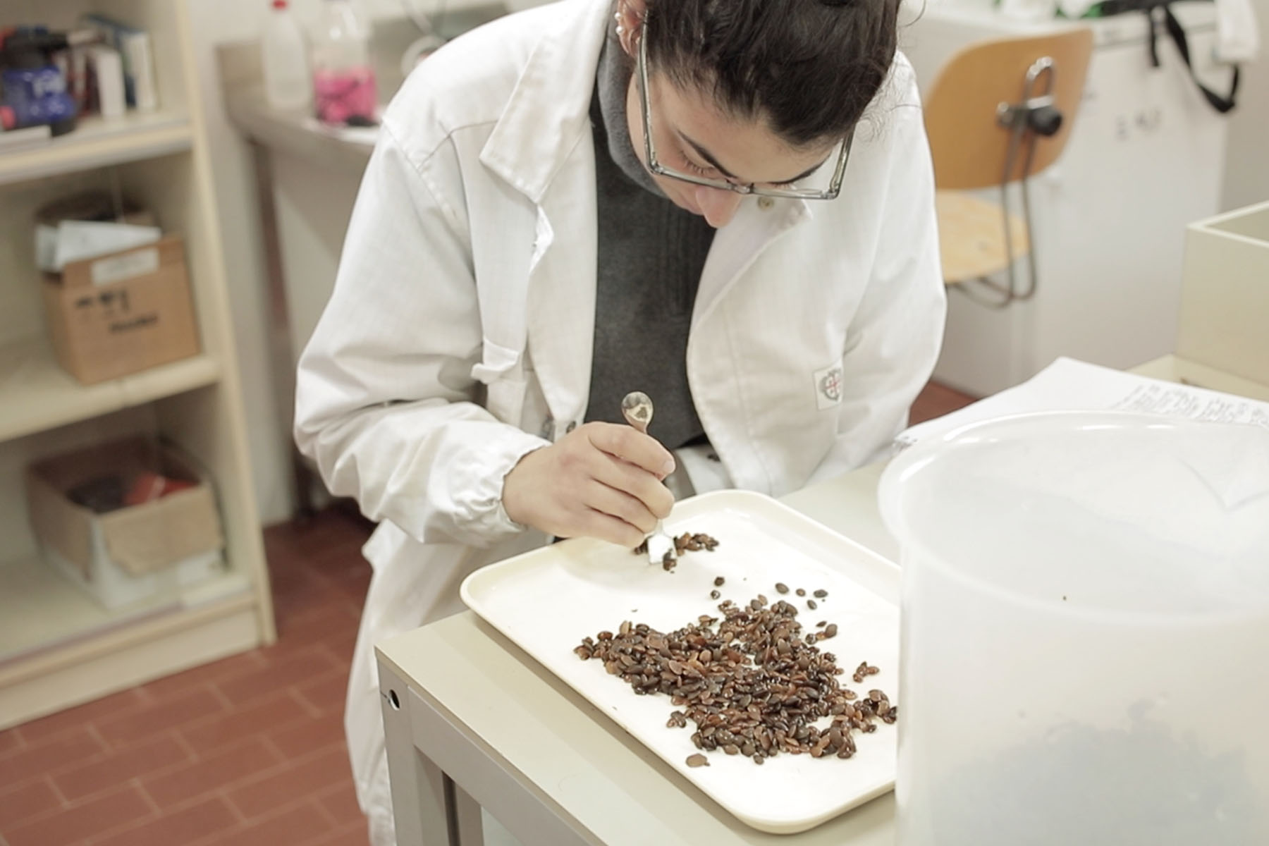 LABORATORIO5 Cooperativa Pescatori Tortolì