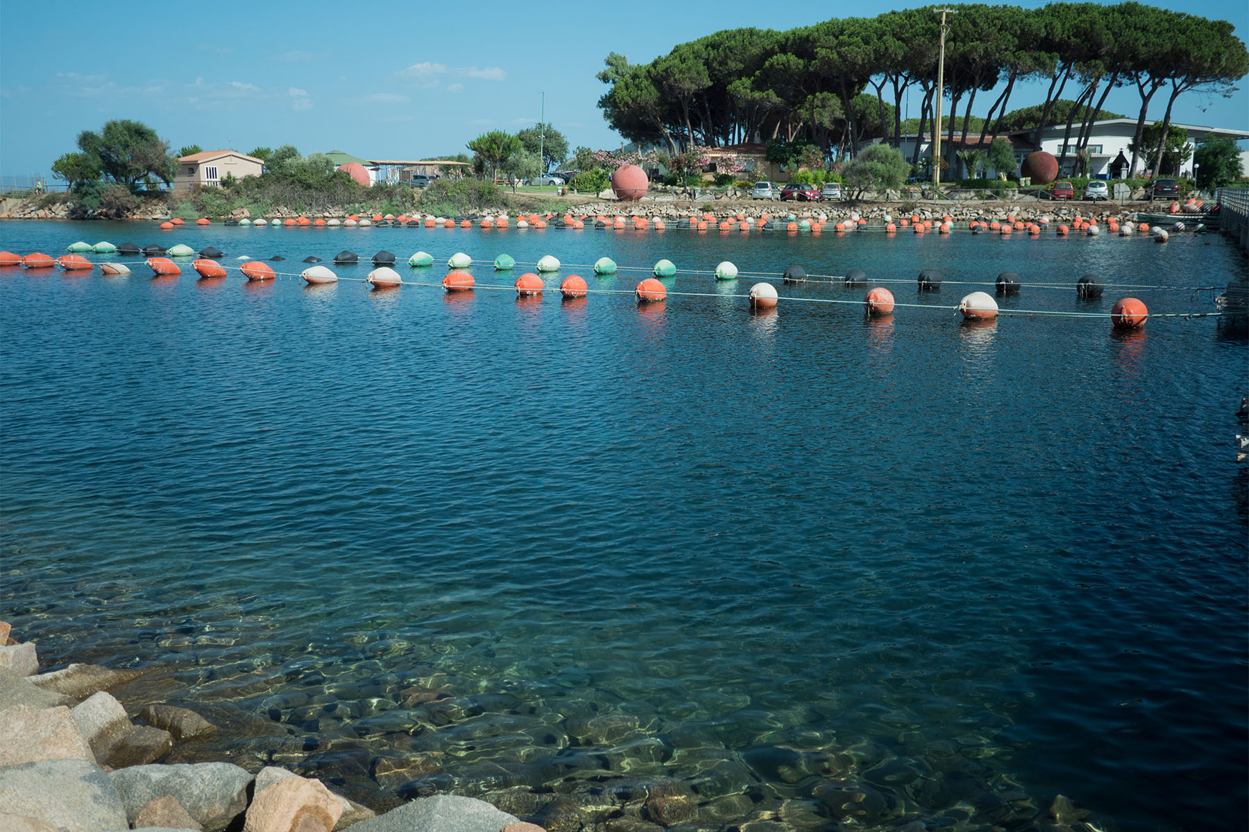 PESCA4 Cooperativa Pescatori Tortolì