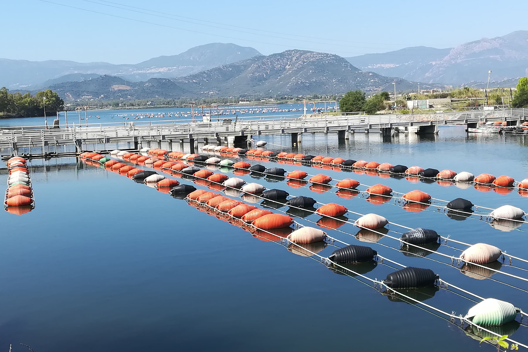 PESCA5 Cooperativa Pescatori Tortolì