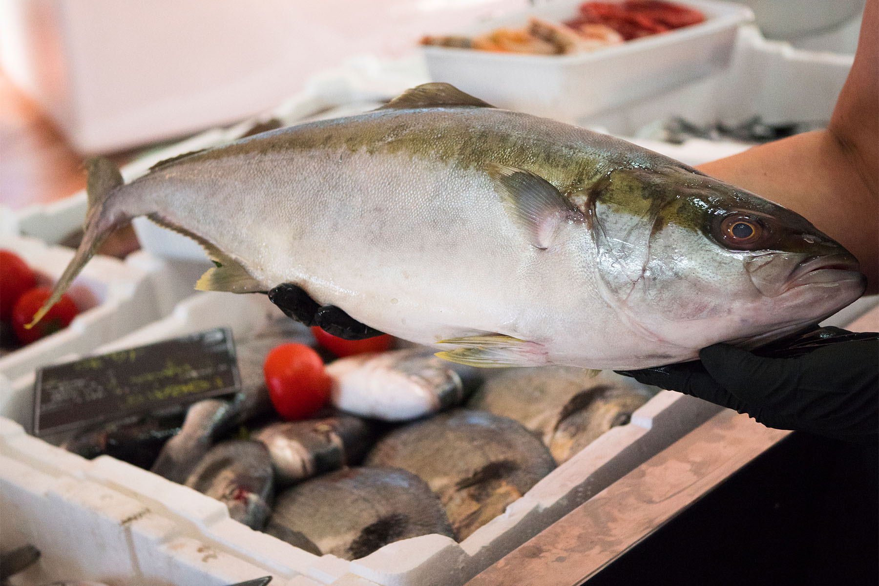 PESCHERIA 2 Cooperativa Pescatori Tortolì