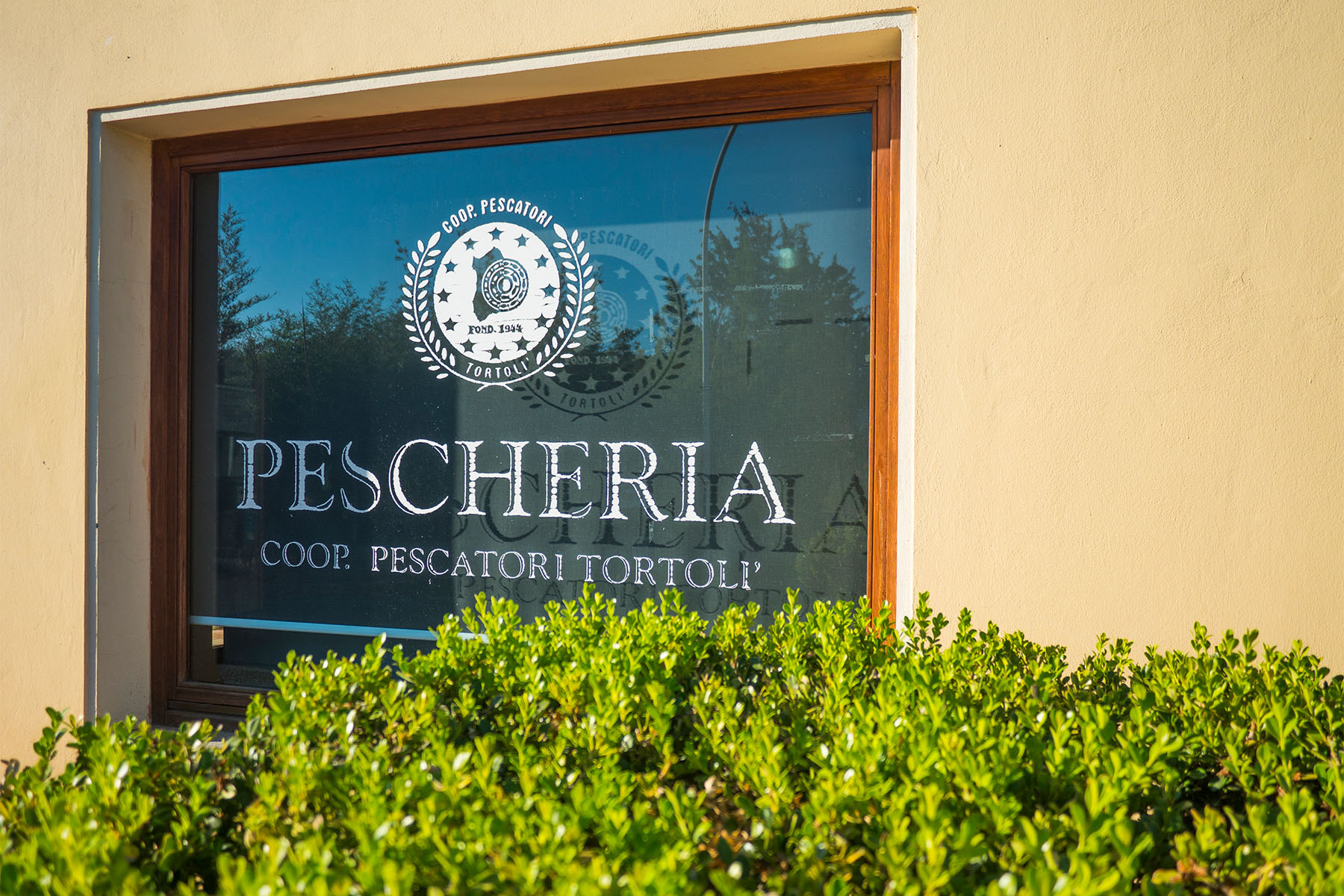 PESCHERIA 6 Cooperativa Pescatori Tortolì