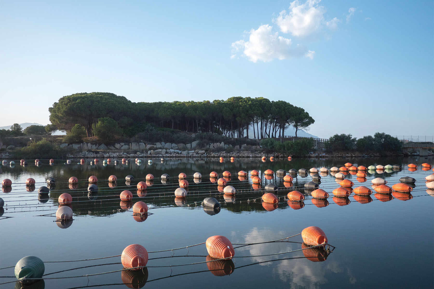 RIGA 2 1 Cooperativa Pescatori Tortolì