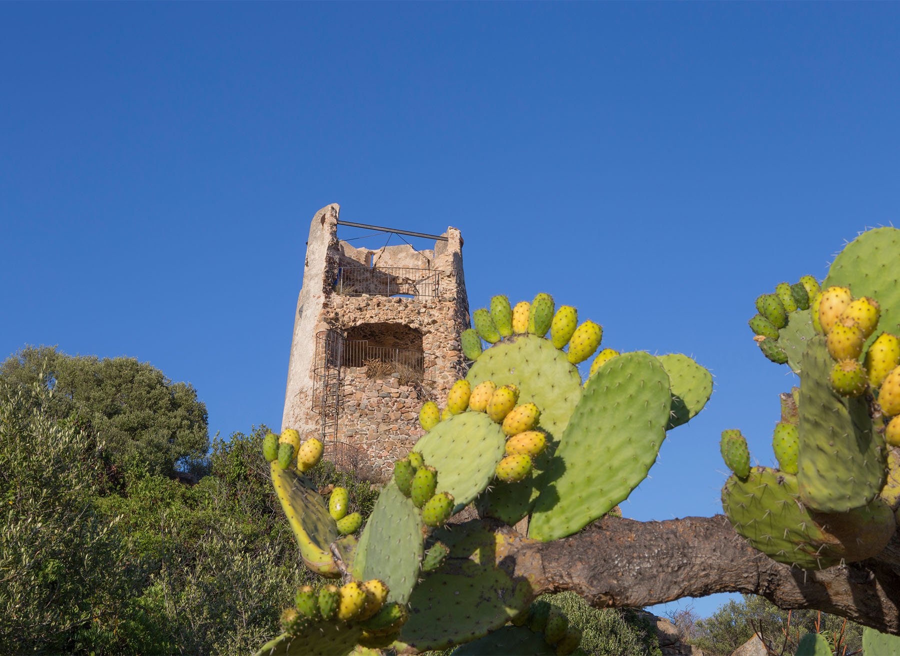 TERRITORIO6 Cooperativa Pescatori Tortolì