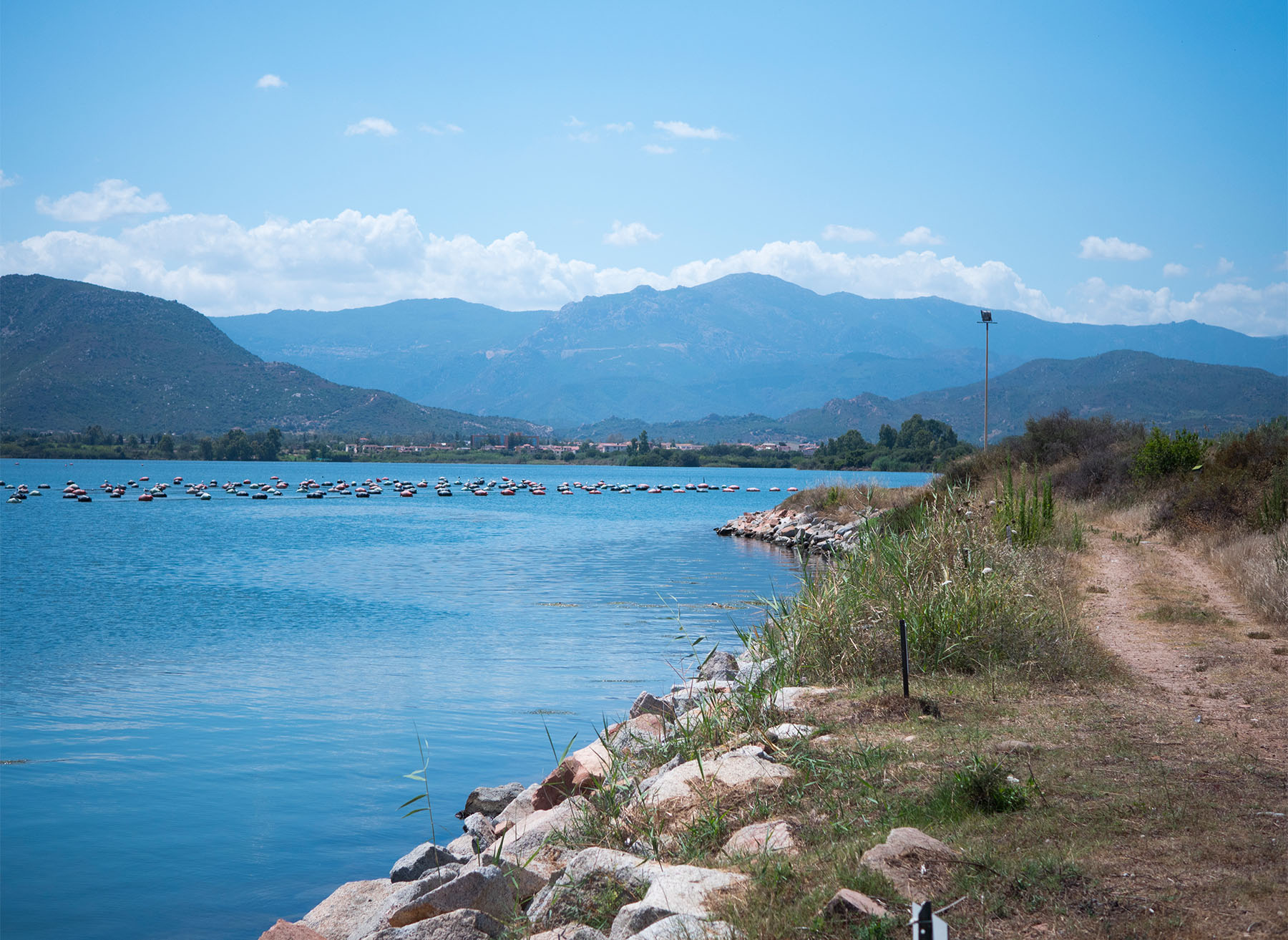 TERRITORIO7 Cooperativa Pescatori Tortolì