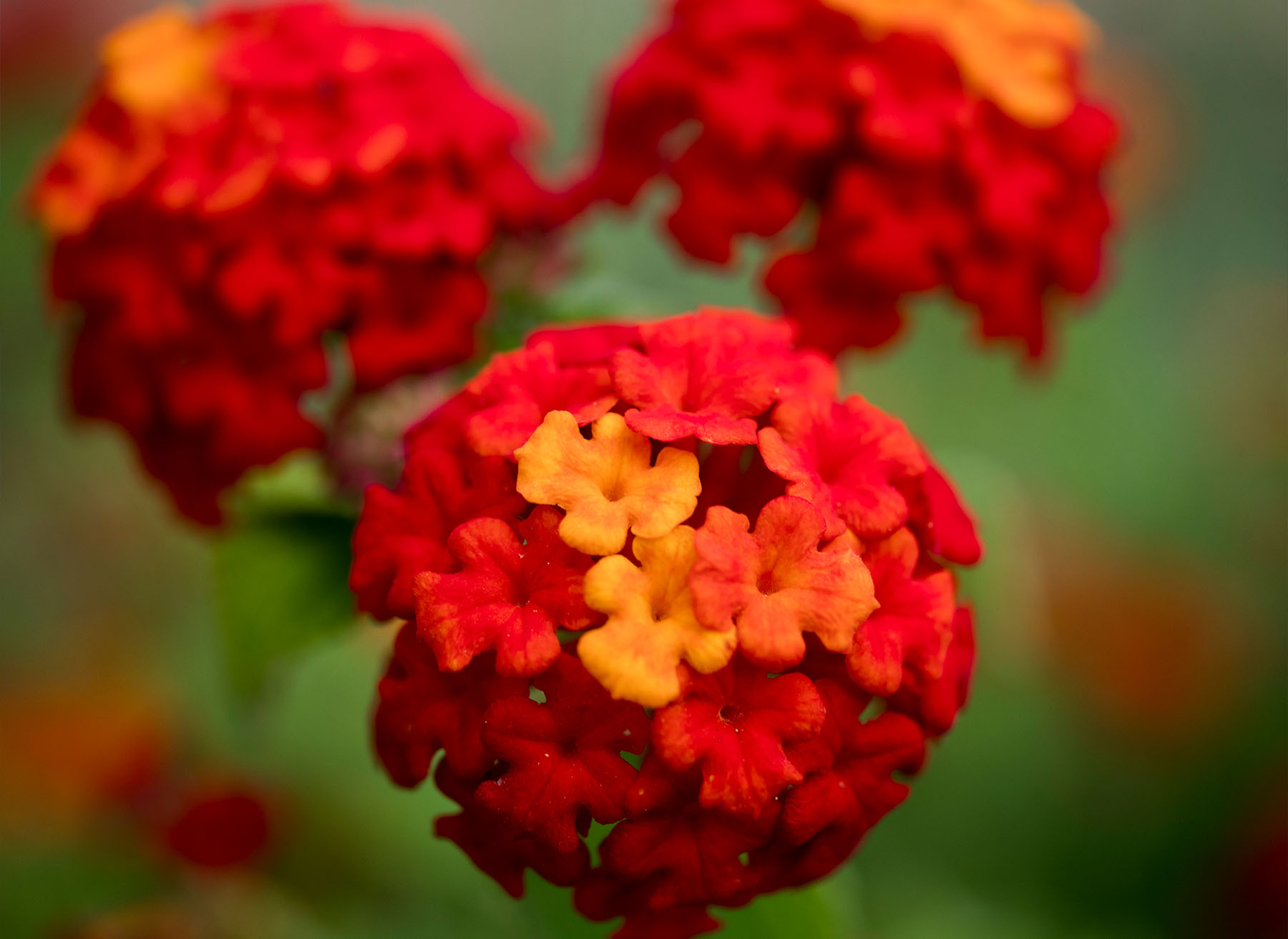 TERRITORIO9 Cooperativa Pescatori Tortolì