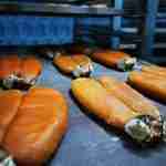 BOTT 1 Cooperativa Pescatori Tortolì