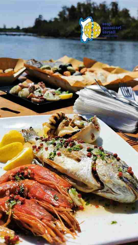 Degustazione visita guidata 2 1 scaled Cooperativa Pescatori Tortolì