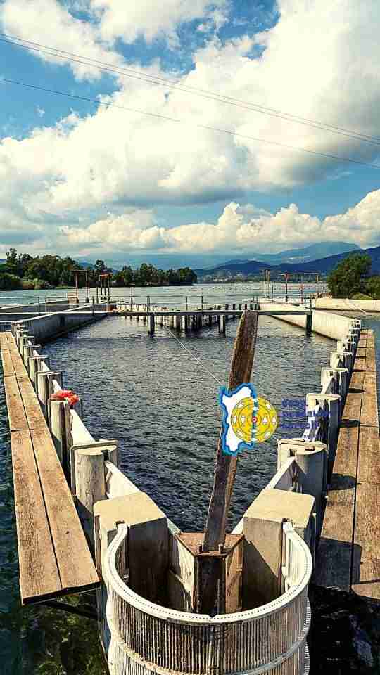 Pesca nelle giostre visita guidata 3 scaled Cooperativa Pescatori Tortolì