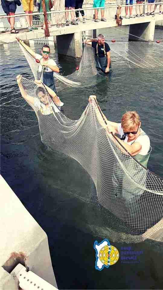 pesca nelle giostre - visita guidata 1 (1)