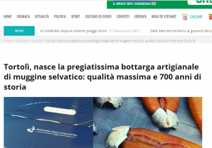 Immagine 2021-11-17 174645