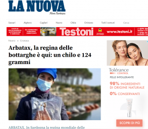 Immagine 2021-11-17 174816