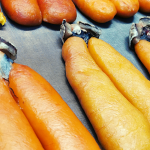 pro f4 Cooperativa Pescatori Tortolì