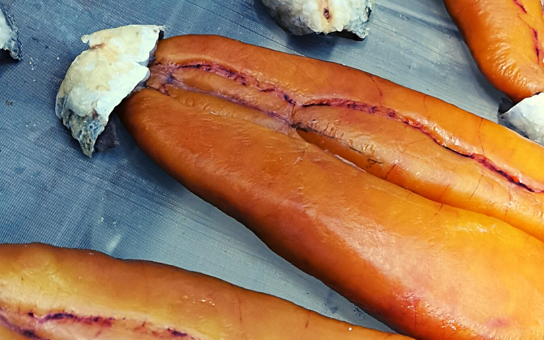 Cooperativa Pescatori incassa la targa dorata d’eccellenza