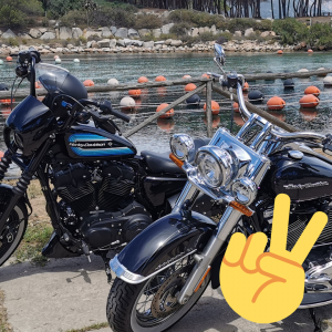 elezioni 2022 13 Cooperativa Pescatori Tortolì