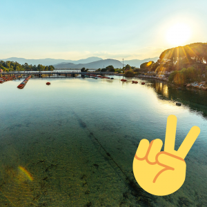 elezioni 2022 2 Cooperativa Pescatori Tortolì