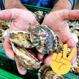 elezioni 2022 3 Cooperativa Pescatori Tortolì