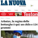 La più grande bottarga del mondo su La Nuova Sardegna