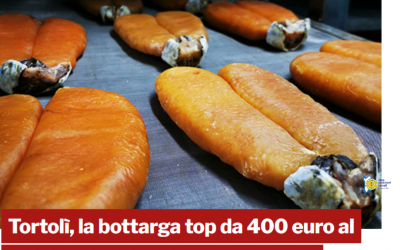 Bottarga di Muggine – le principali curiosità