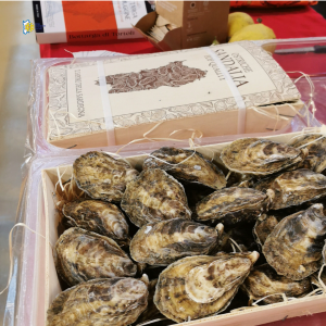 5 Cooperativa Pescatori Tortolì