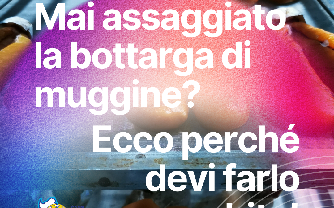 Mai assaggiato la bottarga di muggine? Ecco perché devi farlo subito!