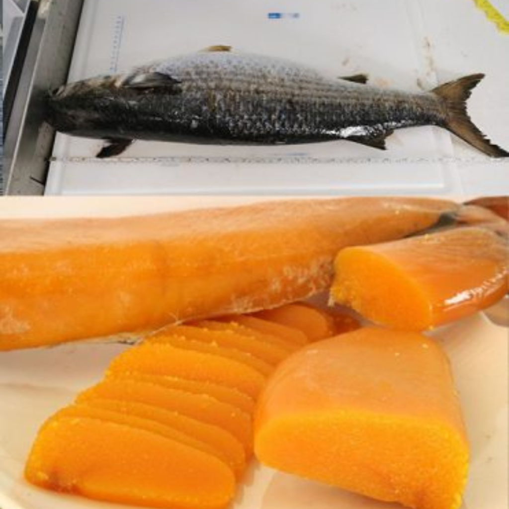 Premiazione Oscar dell’Agroalimentare 2023 - Sardegna protagonista con le sue eccellenze