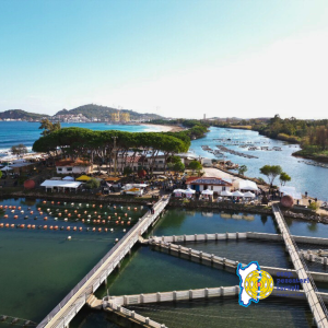 fiera del primo maggio lagune aperte 2023 cooperativa pescatori tortolì
