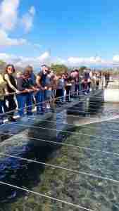 Visita guidata agli stabilimenti di allevamento di ostriche della Cooperativa Pescatori 