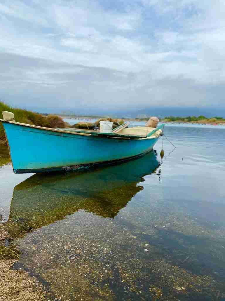Stagno di Tortolì - Habitat naturale per il muggine selvatico