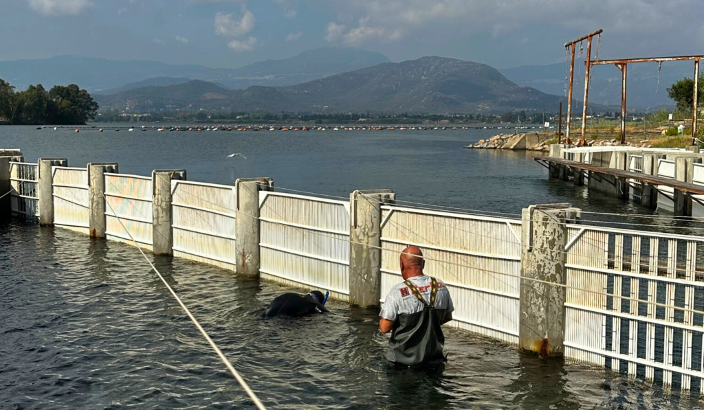 Panorama della Laguna San Giovanni a Tortolì, location di eventi ed escursioni organizzate dalla Cooperativa Pescatori. Cooperativa Pescatori Tortolì 2025
