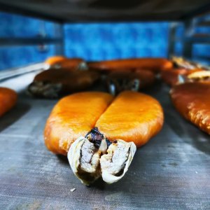 Stagionatura tradizionale bottarga reale d’Ogliastra 1316