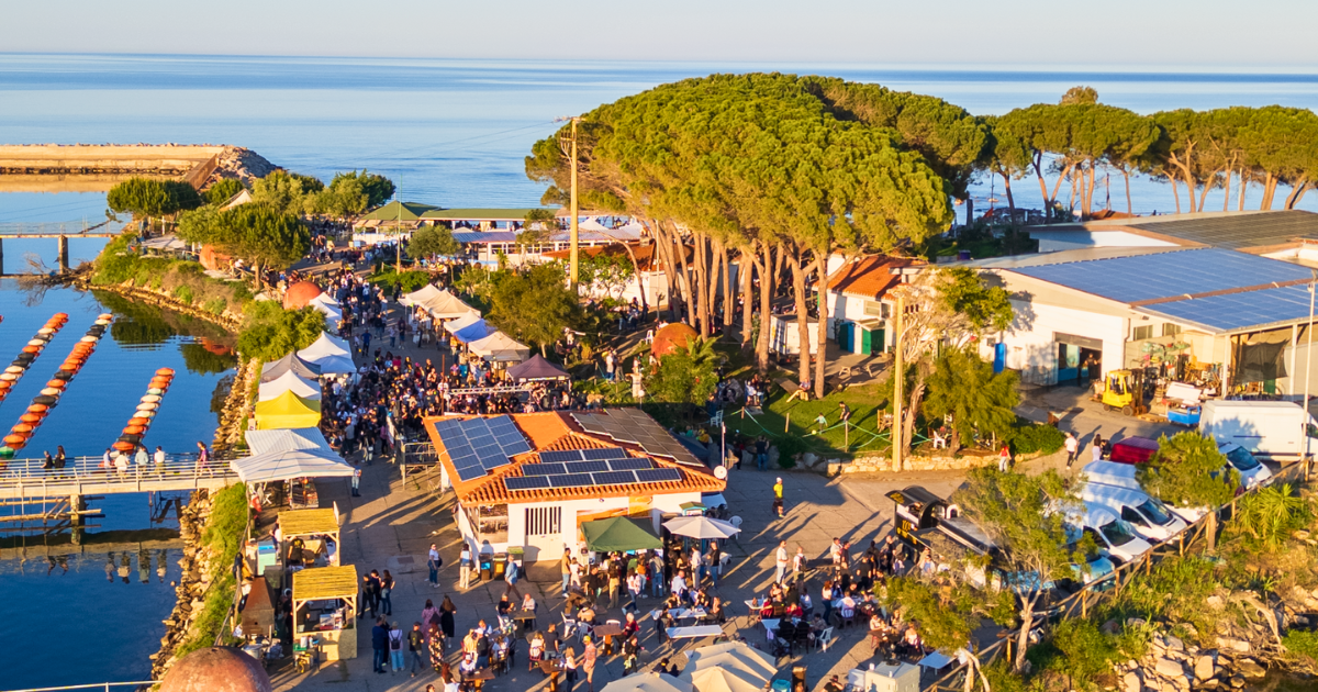 1 maggio 2025 lagune aperte 7 il giorno dopo 8 Cooperativa Pescatori Tortolì